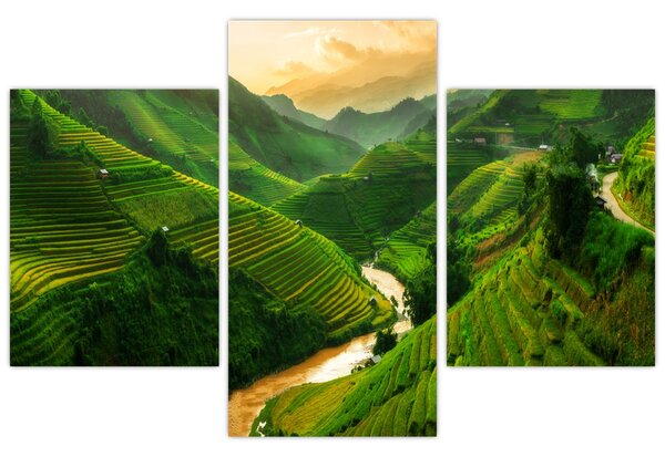 Tablou - Terase de orez Mu Cang Chai (90x60 cm)