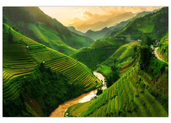 Tablou - Terase de orez Mu Cang Chai (90x60 cm)