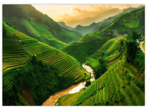 Tablou - Terase de orez Mu Cang Chai (70x50 cm)