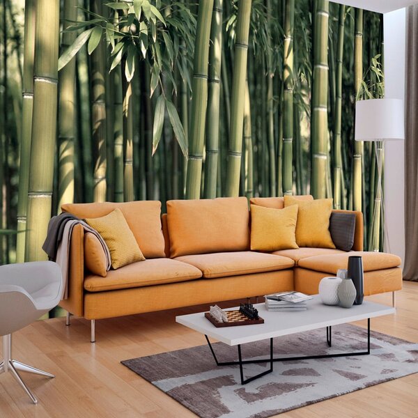 Fototapet - Bamboo Exotic