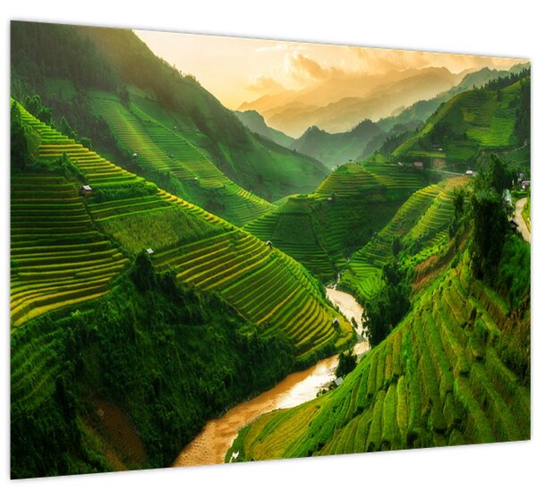 Tablou - Terase de orez Mu Cang Chai (70x50 cm)