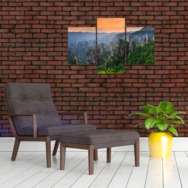 Tablou - Parcul forestier național Zhangjiajie (90x60 cm)