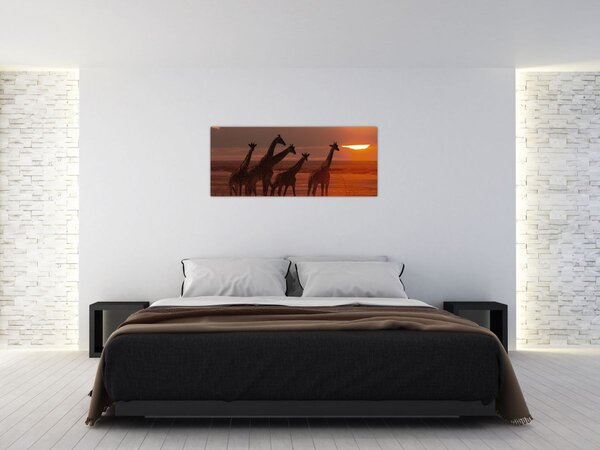 Tablou - Girafe în savana africană (120x50 cm)