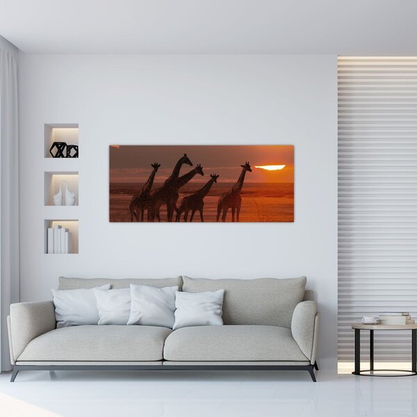 Tablou - Girafe în savana africană (120x50 cm)