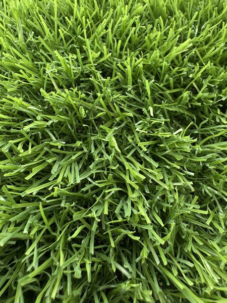 Gazon Artificial Sri Lanka, Inaltime Fir 30 mm, Latime 2m, Marime 200 x 400 cm, Verde, Antialergic, Polipropilena, Curte, Terasa, Balcon, Piscina, Loc