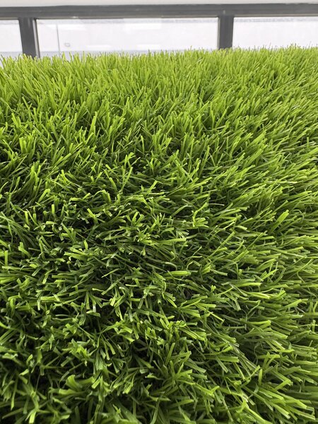 Gazon Artificial Sri Lanka, Inaltime Fir 30 mm, Latime 2m, Marime 200 x 400 cm, Verde, Antialergic, Polipropilena, Curte, Terasa, Balcon, Piscina, Loc