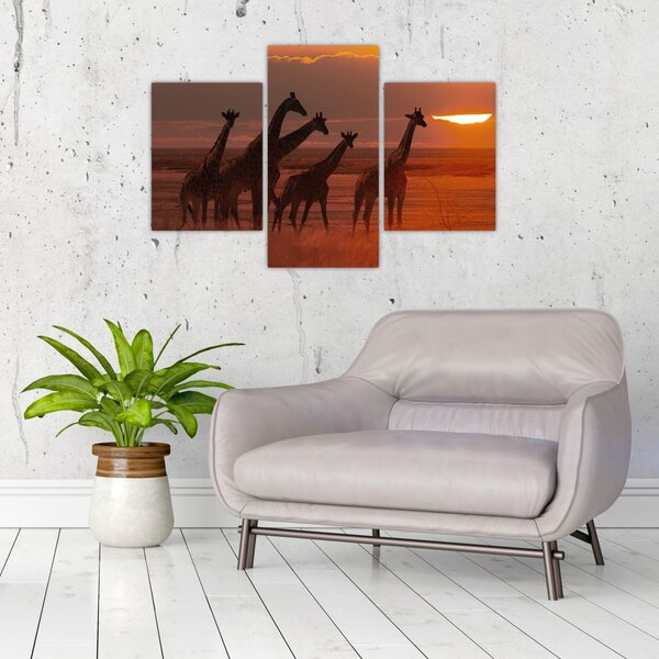 Tablou - Girafe în savana africană (90x60 cm)