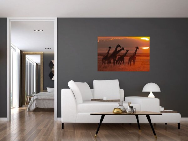 Tablou - Girafe în savana africană (90x60 cm)