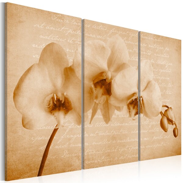 Tablou - orchid (vintage)