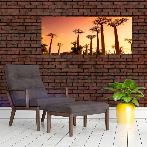Tablou - Apus de soare pe Aleea Baobabilor (120x50 cm)