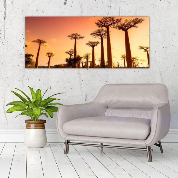 Tablou - Apus de soare pe Aleea Baobabilor (120x50 cm)