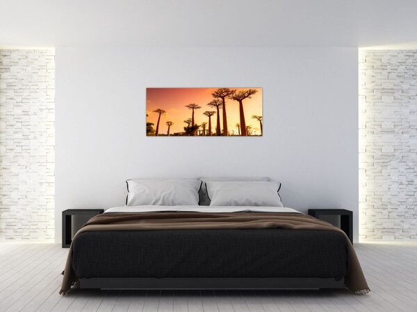 Tablou - Apus de soare pe Aleea Baobabilor (120x50 cm)