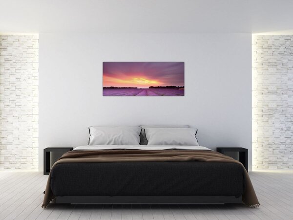 Tablou - Câmp de lavandă (120x50 cm)