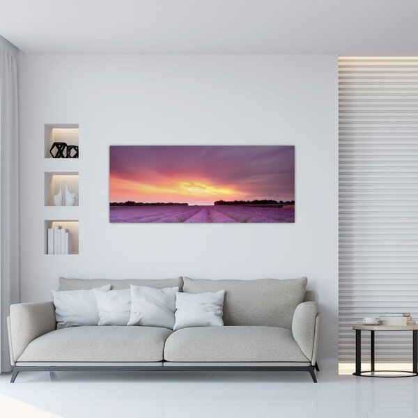 Tablou - Câmp de lavandă (120x50 cm)