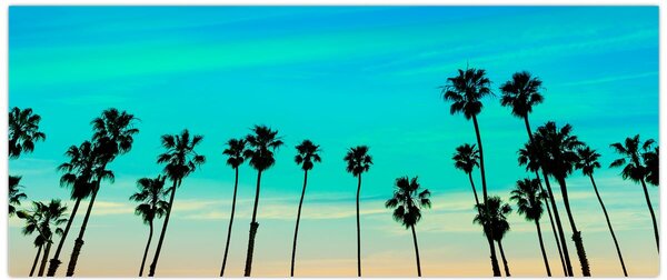Tablou - California (120x50 cm)