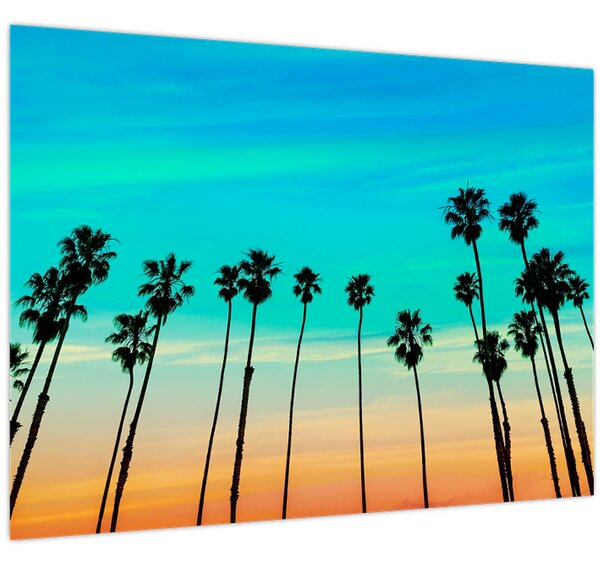 Tablou - California (70x50 cm)