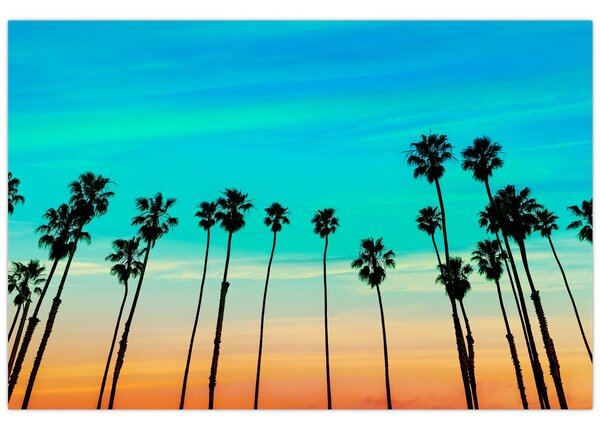 Tablou - California (90x60 cm)