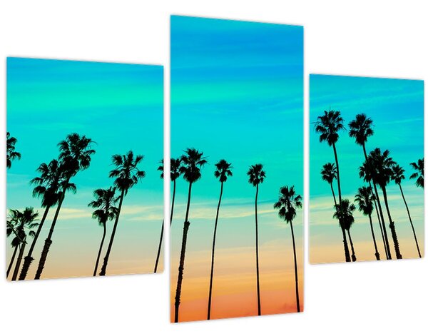 Tablou - California (90x60 cm)