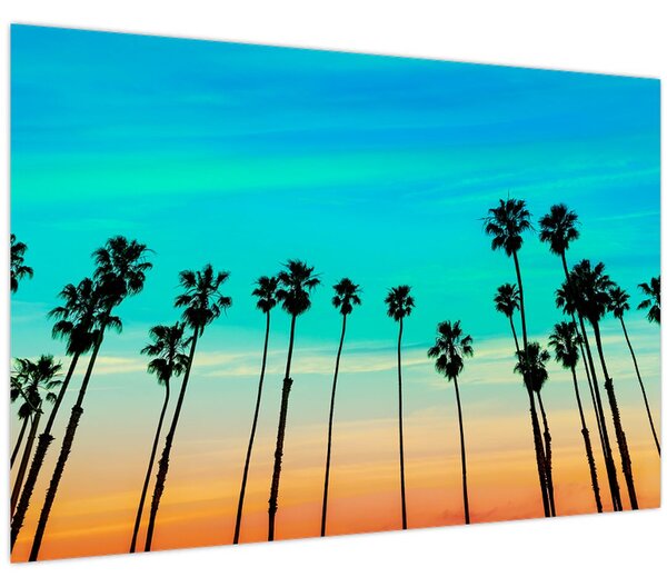 Tablou - California (90x60 cm)