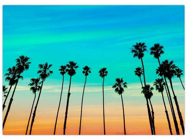 Tablou - California (70x50 cm)