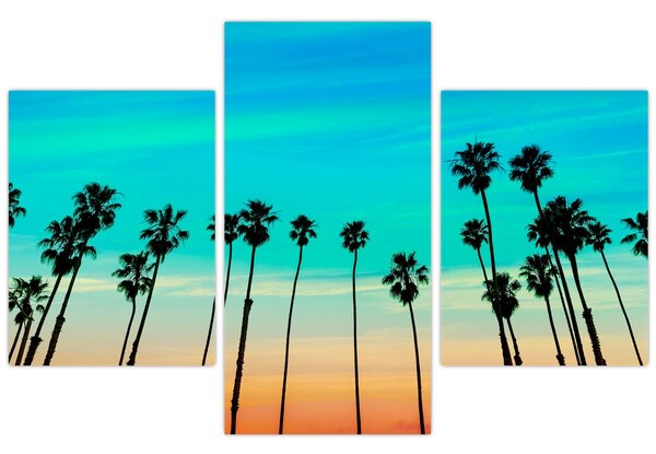 Tablou - California (90x60 cm)