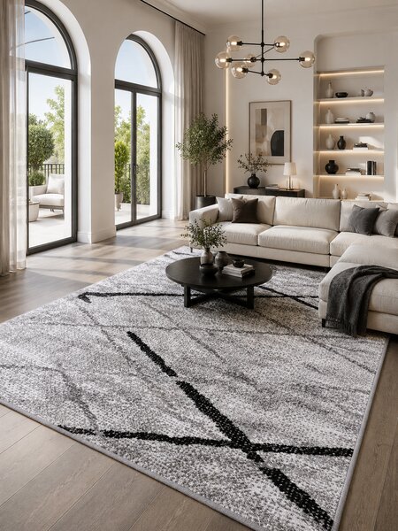 Covor Cappuccino 16430-168, Marime 60 x 110 cm, Gri, Inaltime Fir 7 mm, Antialergic, Polipropilena, Living, Dormitor, Sufragerie, Birou 60 x 110