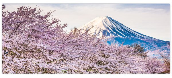 Tablou - Japonia în primăvară (120x50 cm)