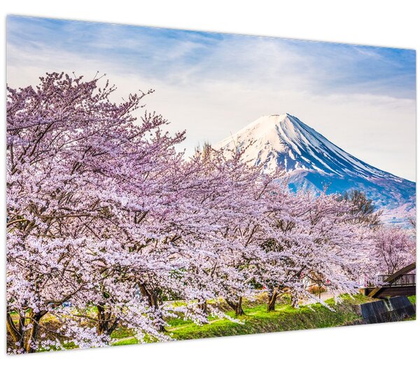 Tablou - Japonia în primăvară (90x60 cm)