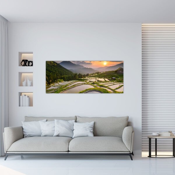 Tablou - Terase de orez (120x50 cm)