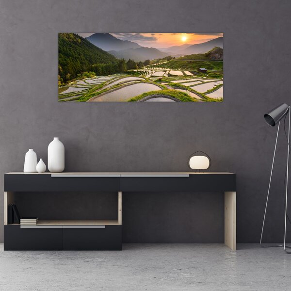 Tablou - Terase de orez (120x50 cm)