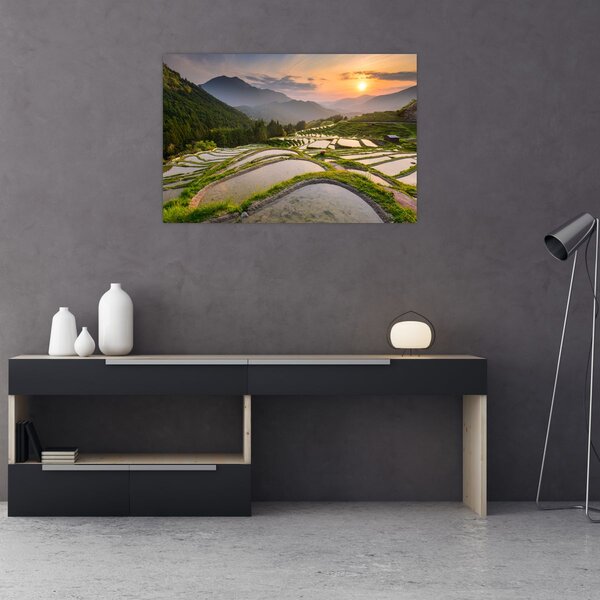 Tablou - Terase de orez (90x60 cm)