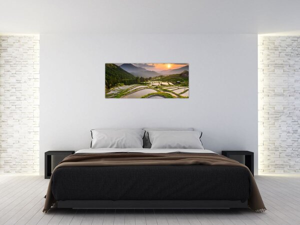 Tablou - Terase de orez (120x50 cm)