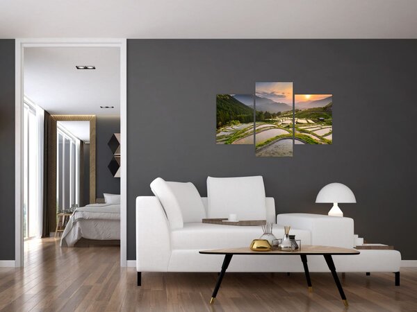 Tablou - Terase de orez (90x60 cm)