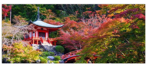 Tablou - Daigodji (120x50 cm)