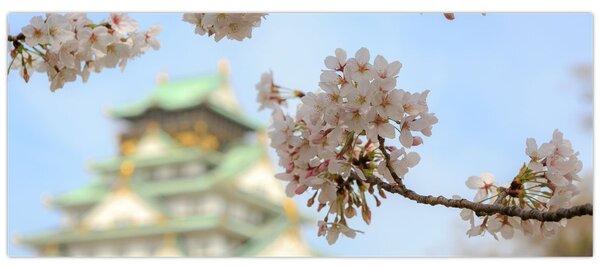 Tablou - Sakura (120x50 cm)