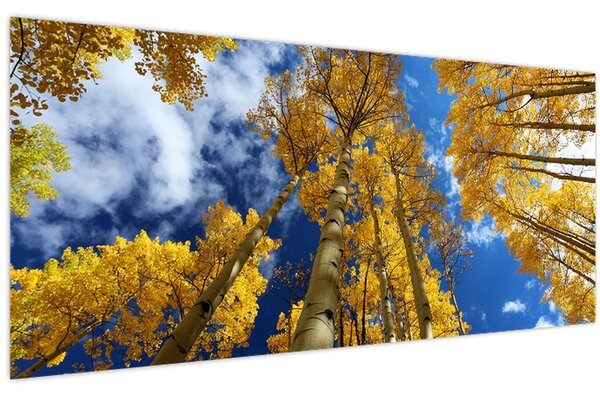 Tablou - Aspen (120x50 cm)