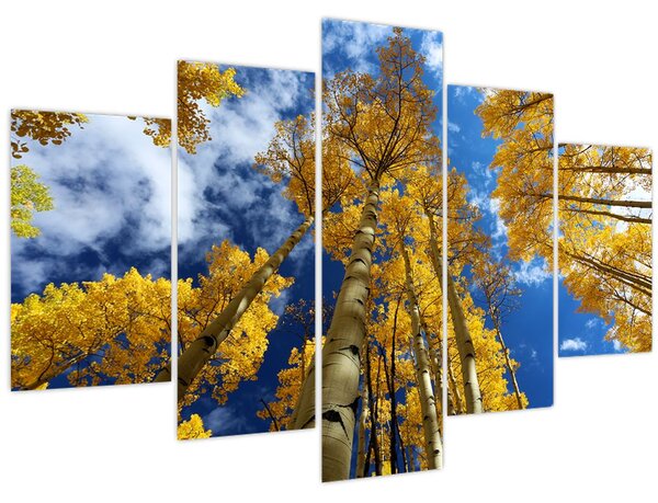 Tablou - Aspen (150x105 cm)