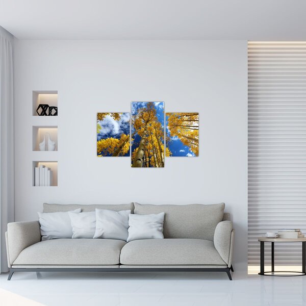 Tablou - Aspen (90x60 cm)