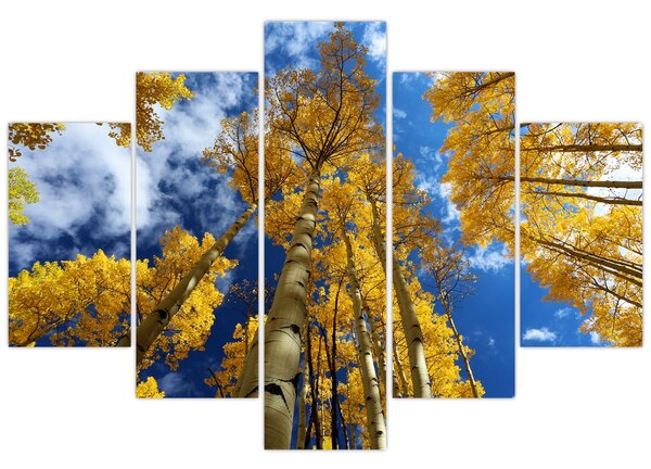 Tablou - Aspen (150x105 cm)