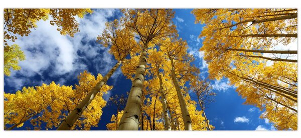 Tablou - Aspen (120x50 cm)