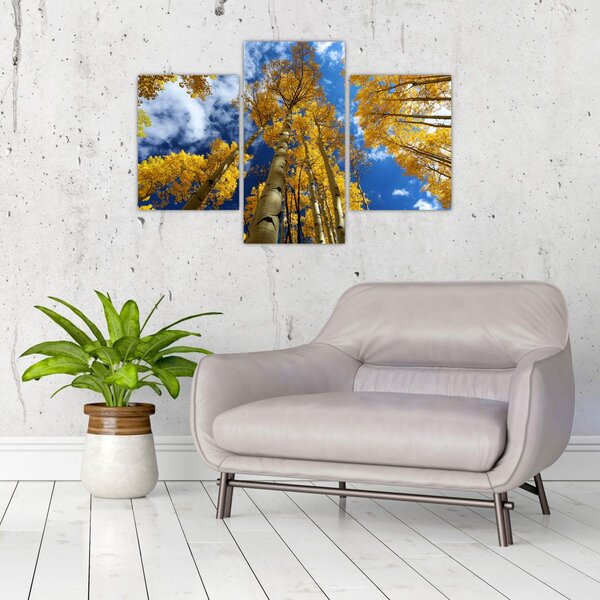 Tablou - Aspen (90x60 cm)