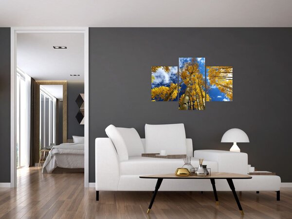 Tablou - Aspen (90x60 cm)