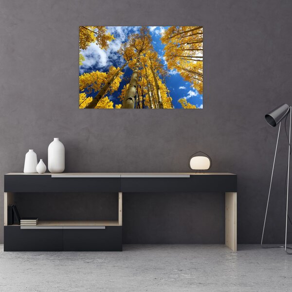 Tablou - Aspen (90x60 cm)