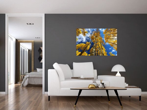 Tablou - Aspen (90x60 cm)