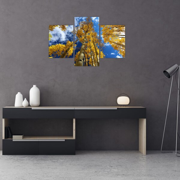 Tablou - Aspen (90x60 cm)