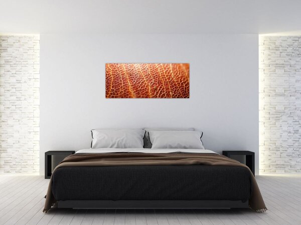 Tablou - Detaliu de textură (120x50 cm)