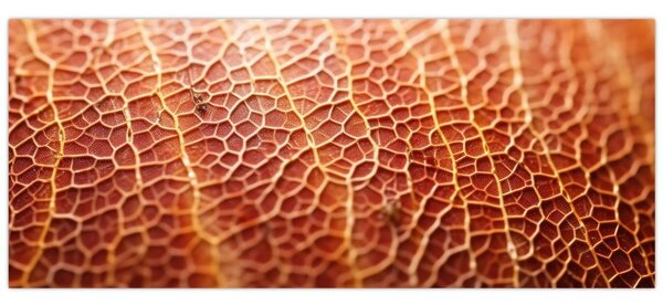 Tablou - Detaliu de textură (120x50 cm)