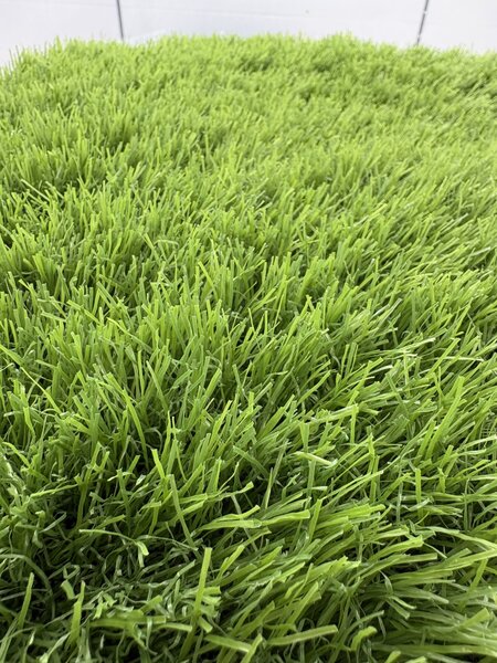 Gazon Artificial Sri Lanka, Inaltime Fir 40 mm, Latime 1m, Marime 100 x 100 cm, Verde, Antialergic, Polipropilena, Curte, Terasa, Balcon, Piscina, Loc