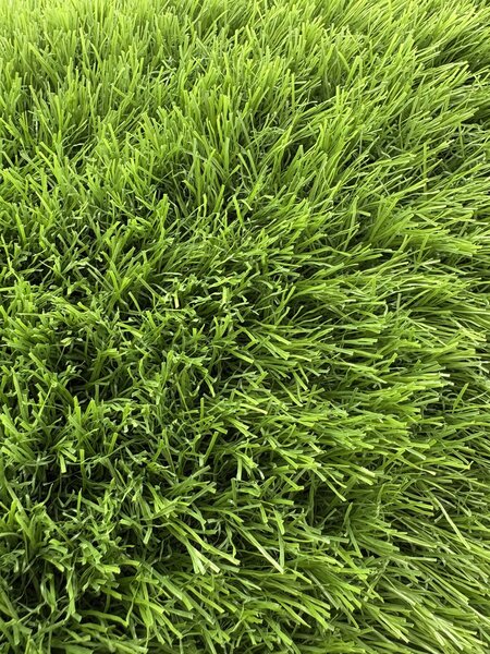Gazon Artificial Sri Lanka, Inaltime Fir 40 mm, Latime 1m, Marime 100 x 100 cm, Verde, Antialergic, Polipropilena, Curte, Terasa, Balcon, Piscina, Loc