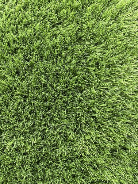 Gazon Artificial Sri Lanka, Inaltime Fir 40 mm, Latime 1m, Marime 100 x 100 cm, Verde, Antialergic, Polipropilena, Curte, Terasa, Balcon, Piscina, Loc